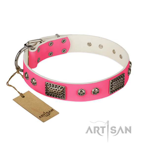 Easy wearing genuine leather dog collar for daily walking your dog
