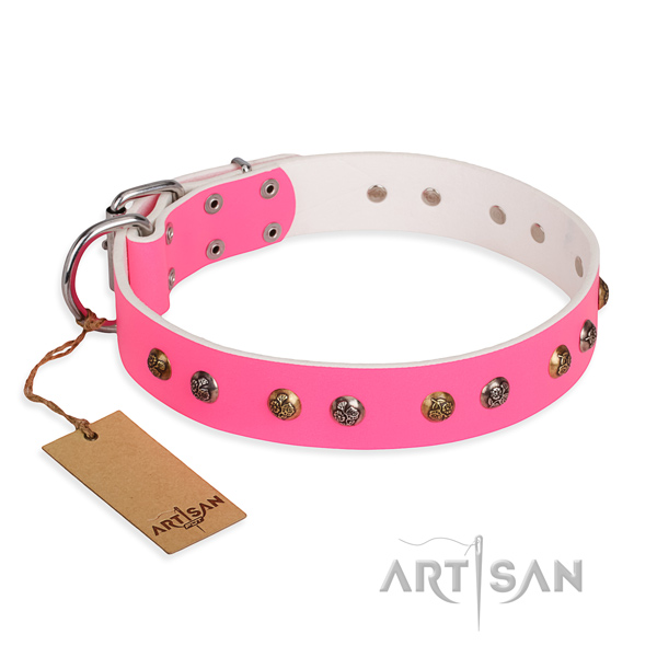 Handy use significant dog collar with corrosion proof traditional buckle