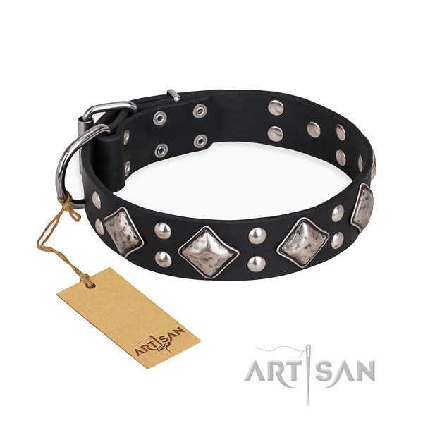 Handy use significant dog collar with corrosion proof traditional buckle