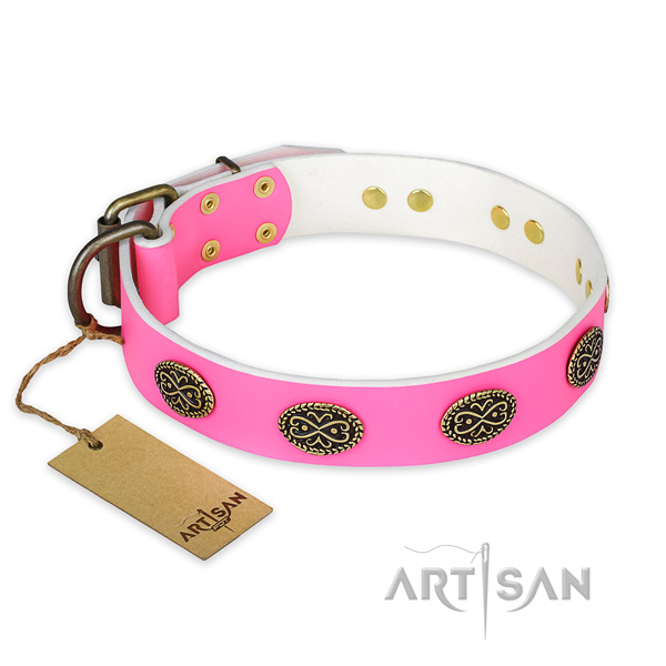 Extraordinary leather dog collar for stylish walking
