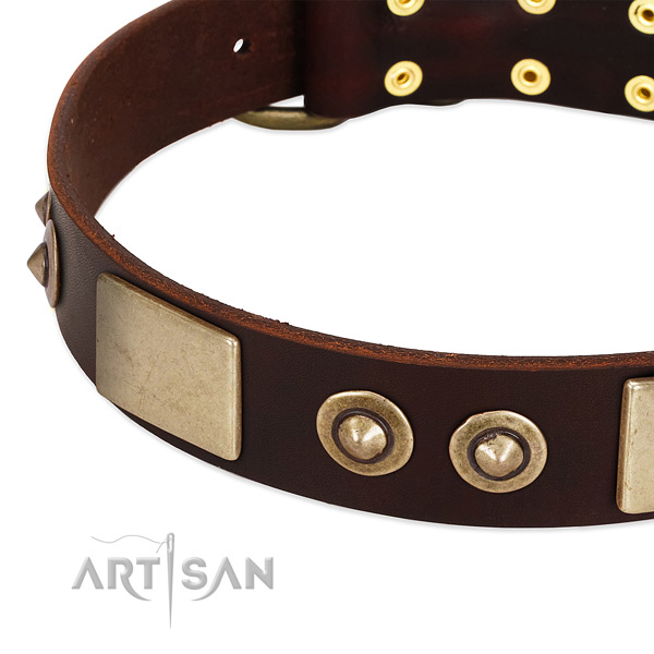 Rust-proof fittings on full grain leather dog collar for your dog
