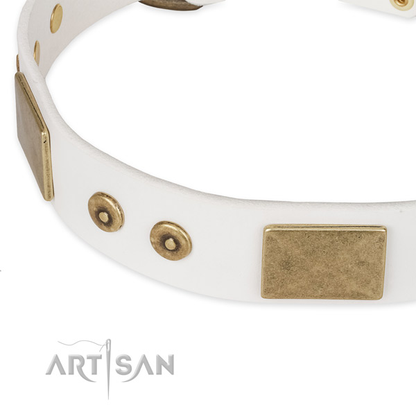 Rust resistant adornments on full grain genuine leather dog collar for your doggie