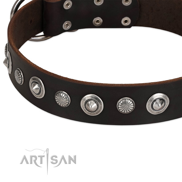 Trendy studded dog collar of finest quality full grain leather