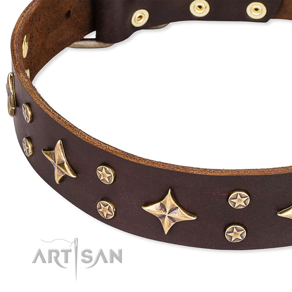 Comfy wearing decorated dog collar of fine quality natural leather