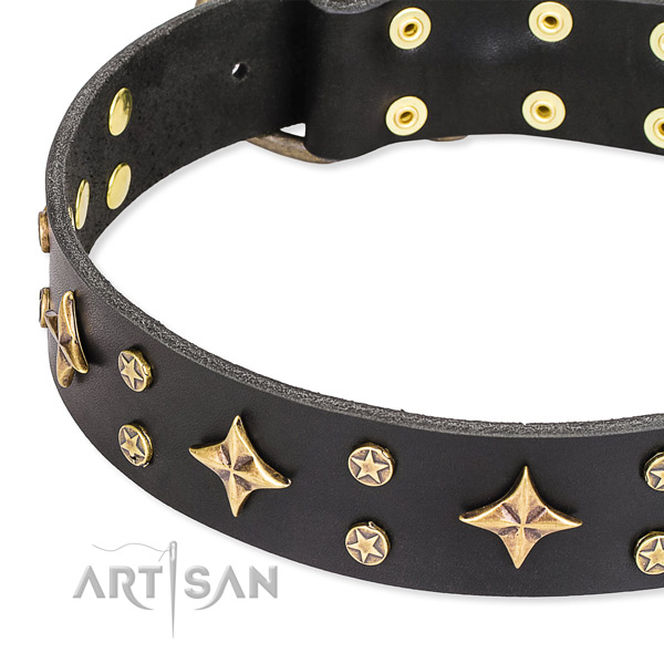 Basic training studded dog collar of fine quality leather