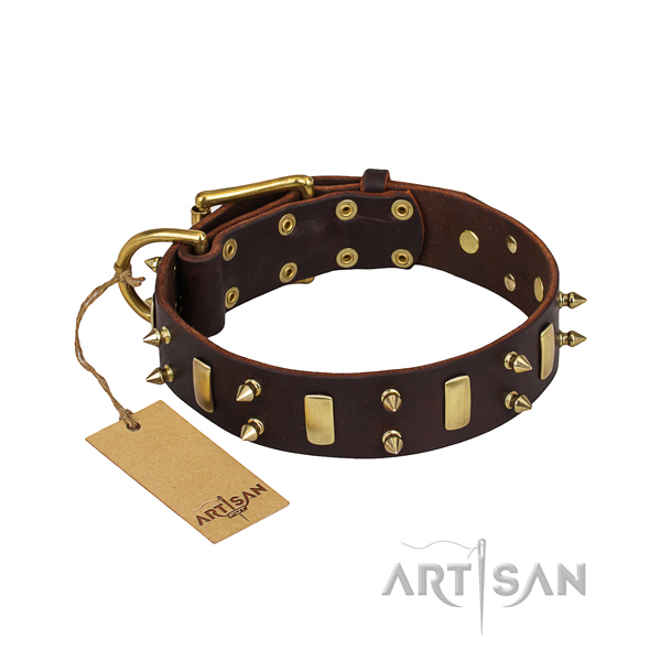 Stylish walking dog collar of strong natural leather with embellishments