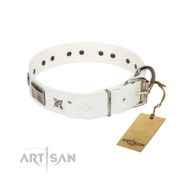 Awesome collar of leather for your lovely doggie
