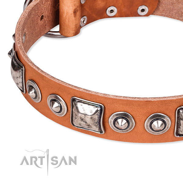 Reliable full grain leather dog collar crafted for your impressive canine