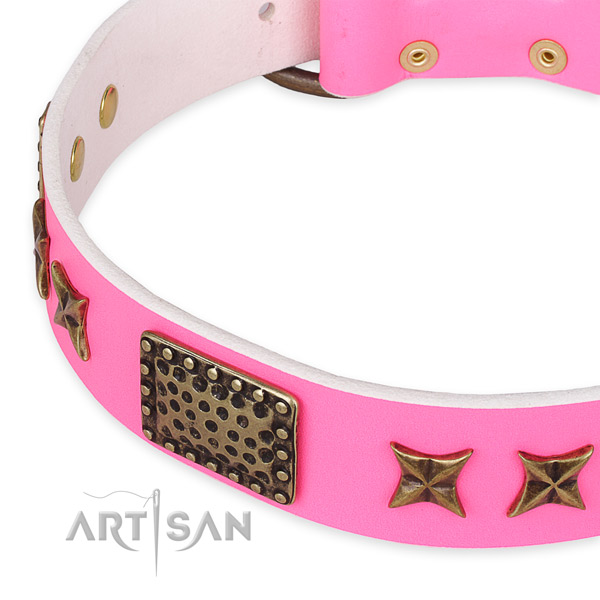 Full grain genuine leather collar with durable hardware for your stylish canine