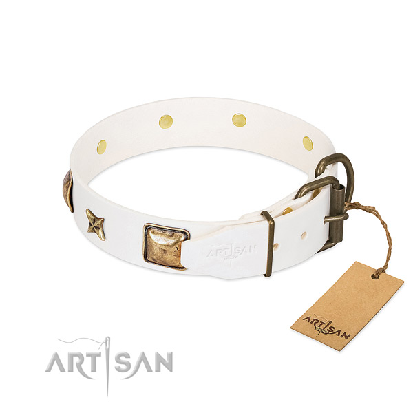Leather dog collar with corrosion resistant D-ring and decorations