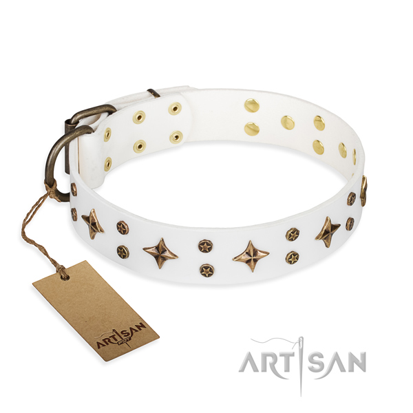 Comfortable wearing dog collar of top quality leather with adornments