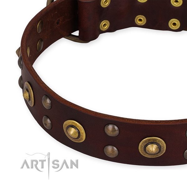 Full grain leather collar with reliable hardware for your stylish four-legged friend