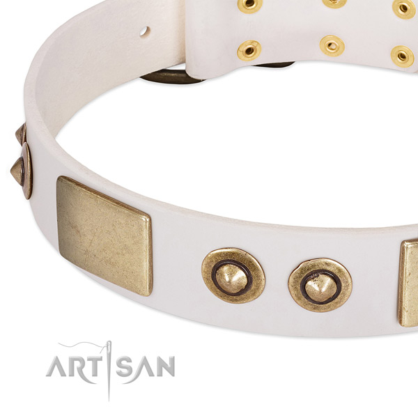 Corrosion proof fittings on full grain genuine leather dog collar for your pet