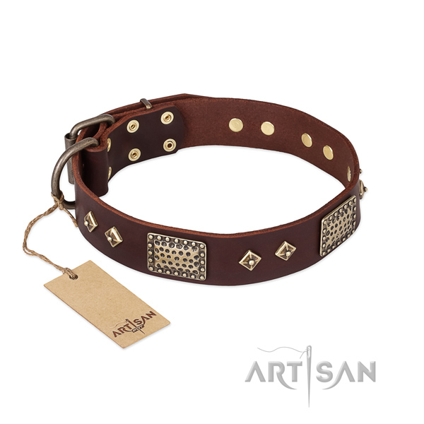 Inimitable leather dog collar for stylish walking