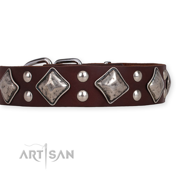 Full grain genuine leather dog collar with extraordinary rust-proof adornments