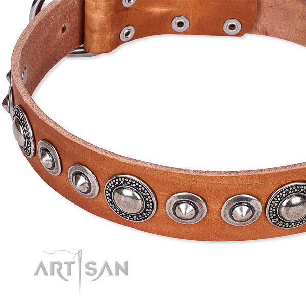 Basic training decorated dog collar of finest quality full grain genuine leather