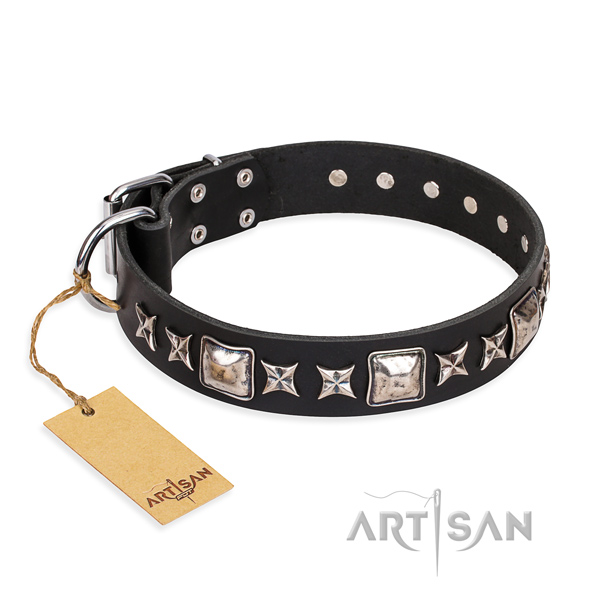 Daily use dog collar of strong leather with embellishments
