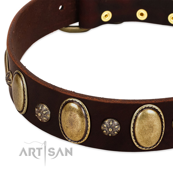 Everyday walking flexible full grain genuine leather dog collar