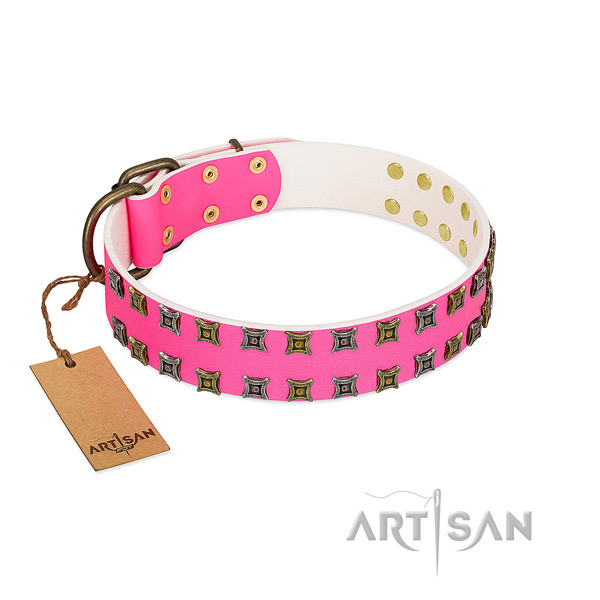 Full grain genuine leather collar with impressive adornments for your canine