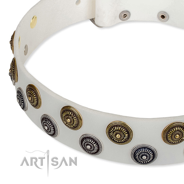 Comfy wearing embellished dog collar of quality leather