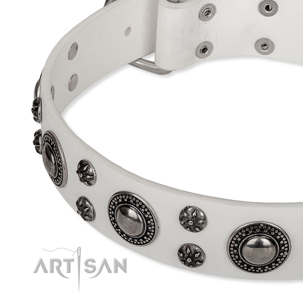 Basic training embellished dog collar of fine quality full grain natural leather