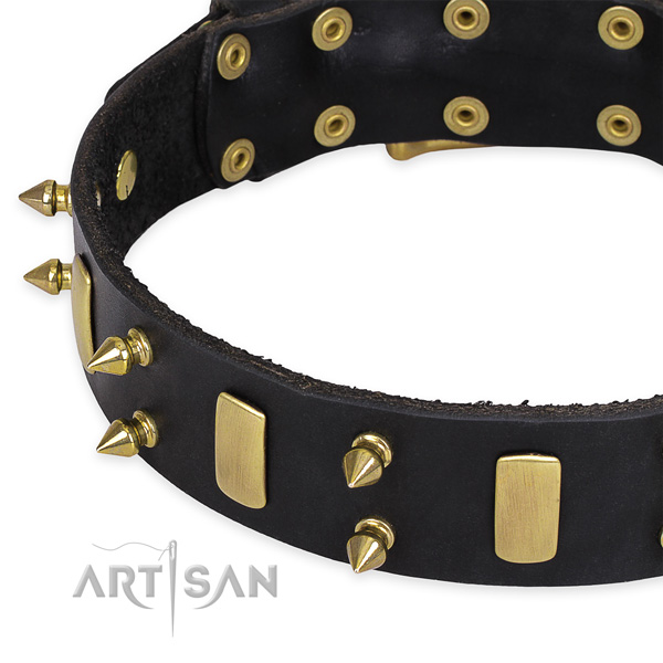 Stylish walking adorned dog collar of best quality full grain genuine leather