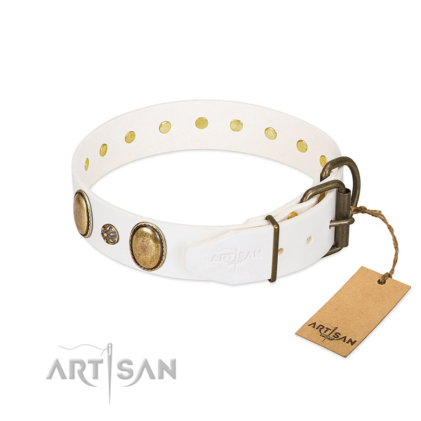 Daily use top notch genuine leather dog collar
