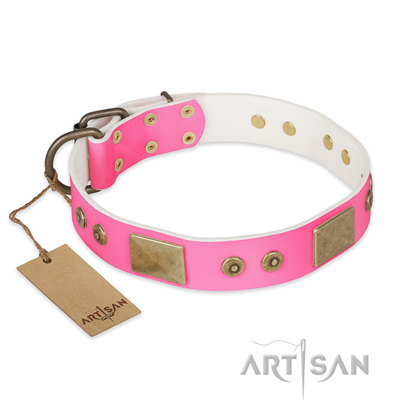 Easy wearing leather dog collar for daily walking your four-legged friend