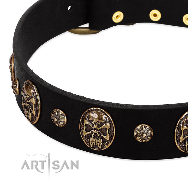 Corrosion proof adornments on full grain natural leather dog collar for your four-legged friend