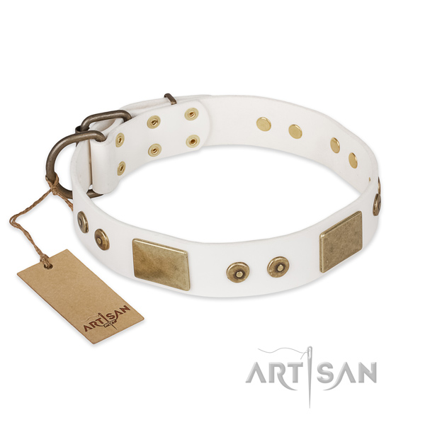 Handcrafted full grain genuine leather dog collar for daily use