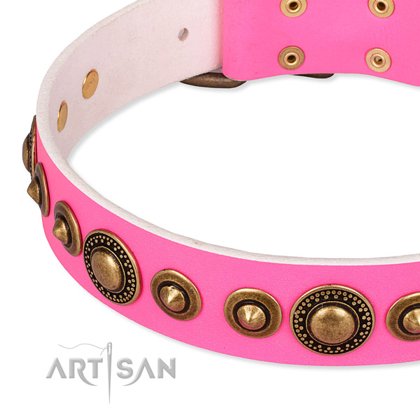 High quality genuine leather dog collar created for your beautiful canine