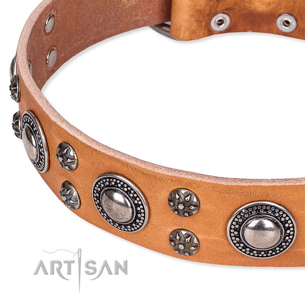 Stylish walking decorated dog collar of fine quality full grain natural leather