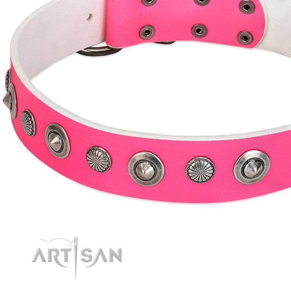 Genuine leather collar with corrosion proof hardware for your beautiful four-legged friend