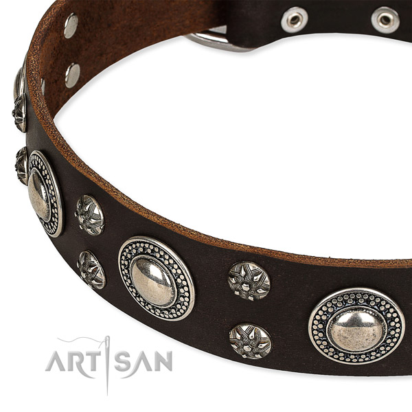 Stylish walking adorned dog collar of durable natural leather