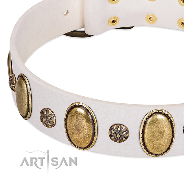 Handy use quality full grain natural leather dog collar with embellishments