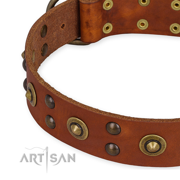 Full grain genuine leather collar with durable traditional buckle for your stylish canine