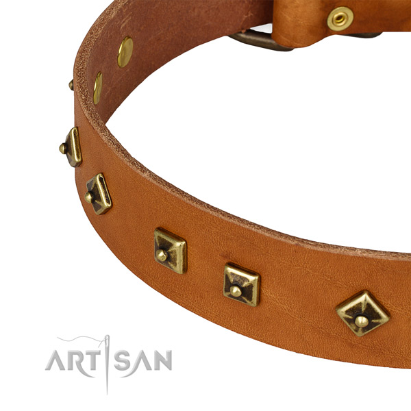 Amazing genuine leather collar for your beautiful four-legged friend