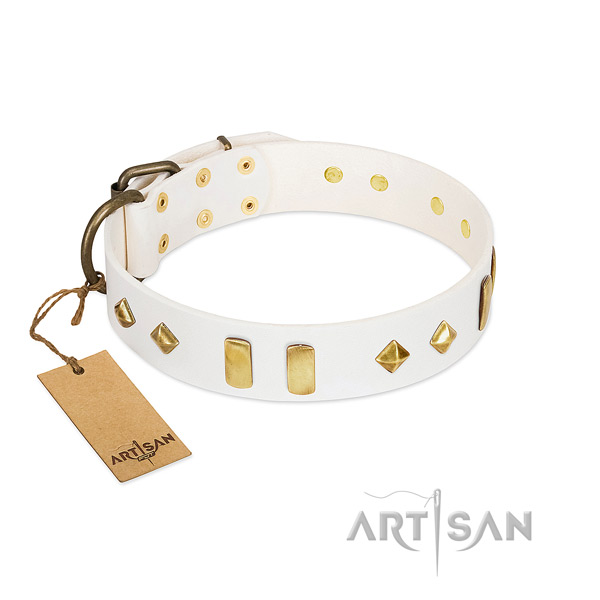 Easy wearing reliable full grain natural leather dog collar with embellishments