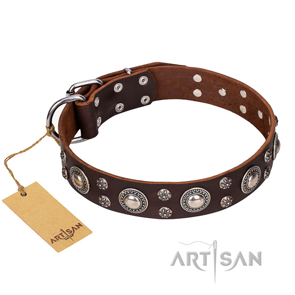 Stylish walking dog collar of best quality leather with studs