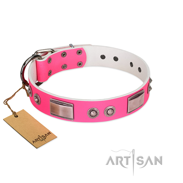 Impressive dog collar of natural leather with adornments