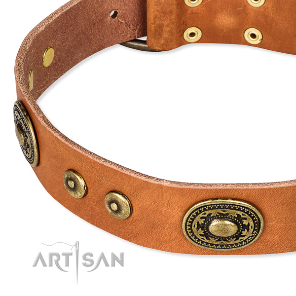 Full grain natural leather dog collar made of soft material with studs