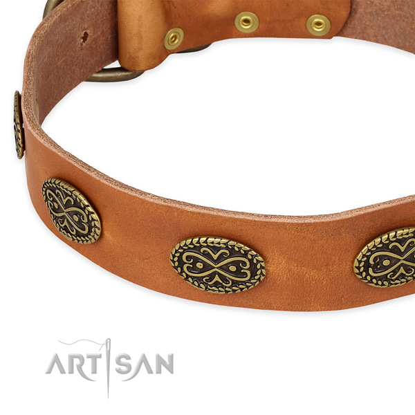 Handcrafted full grain leather collar for your impressive pet