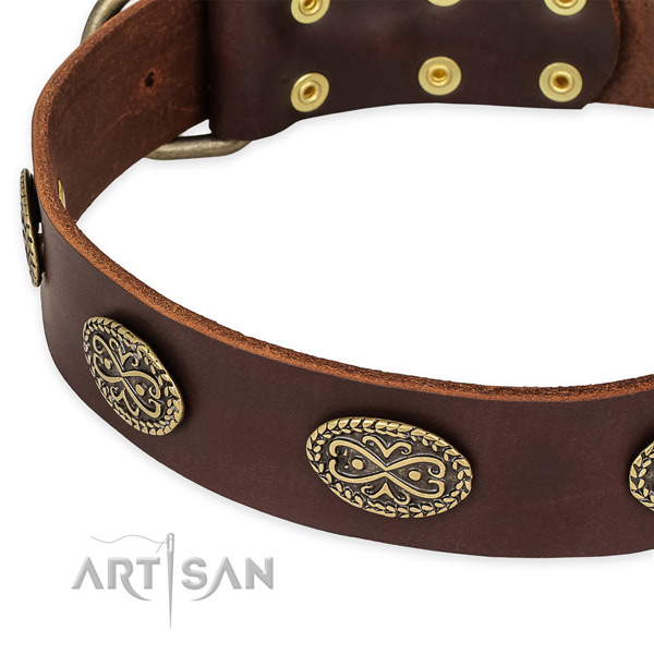 Extraordinary leather collar for your attractive dog