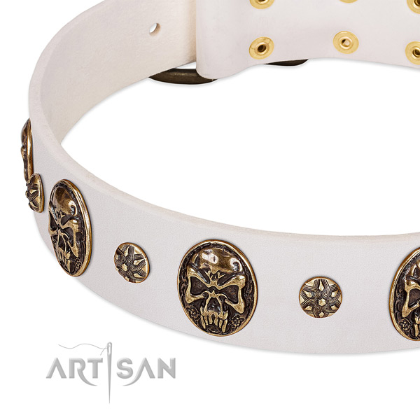 Corrosion resistant buckle on leather dog collar for your four-legged friend