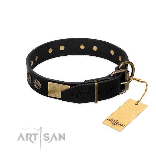 Strong embellishments on genuine leather dog collar for your pet