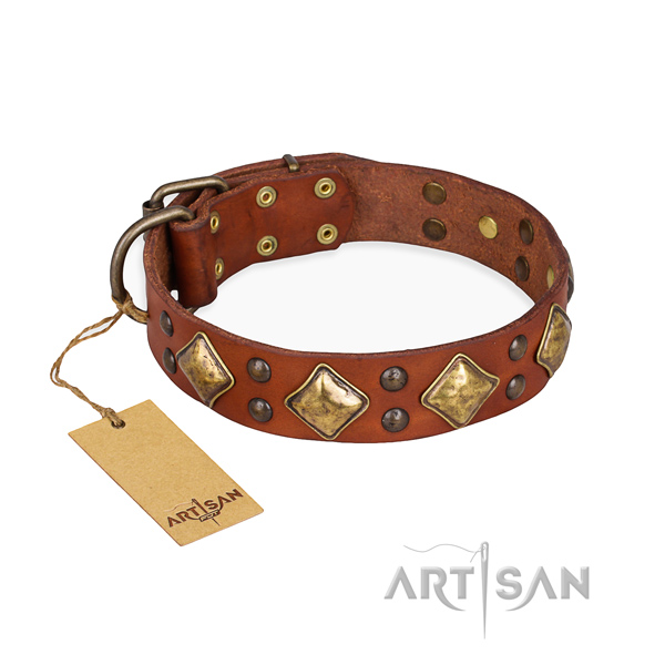 Handy use easy to adjust dog collar with corrosion resistant traditional buckle