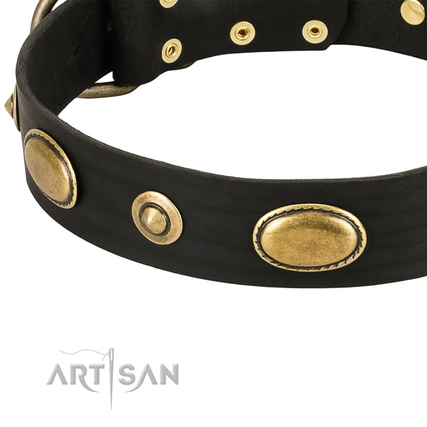 Corrosion resistant decorations on leather dog collar for your four-legged friend