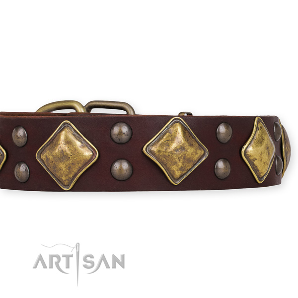 Full grain natural leather dog collar with unusual corrosion proof studs