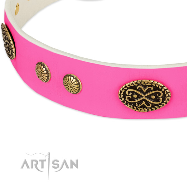 Corrosion proof buckle on full grain genuine leather dog collar for your canine