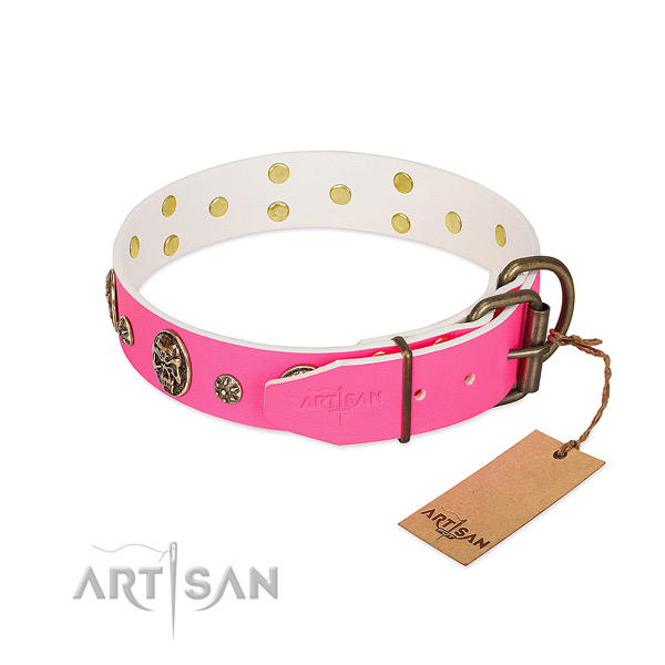 Reliable buckle on full grain leather collar for daily walking your pet